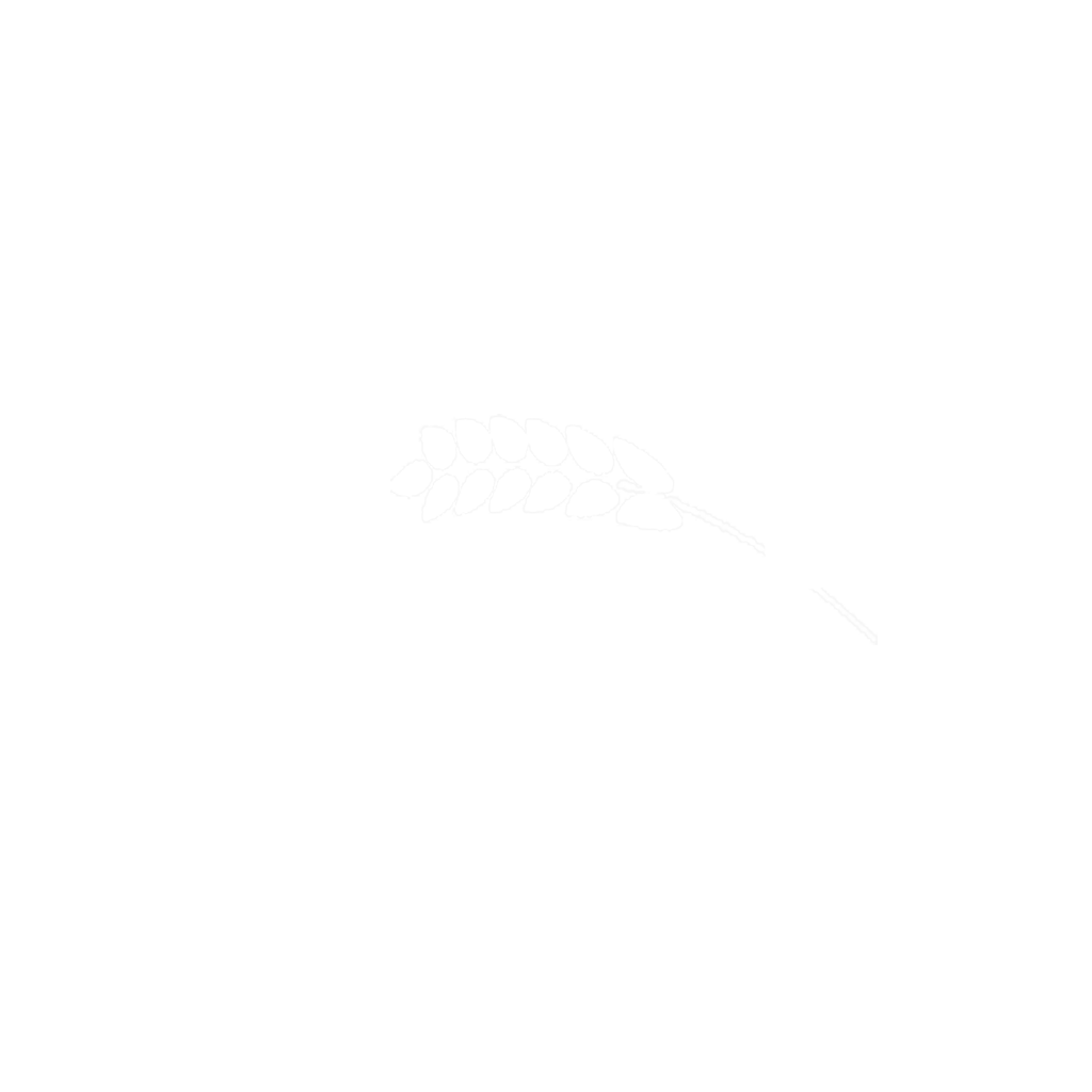 Wheat Games